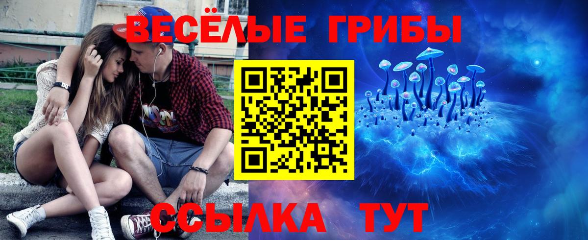Псилоцибиновые грибы Psilocybine cubensis Бугуруслан
