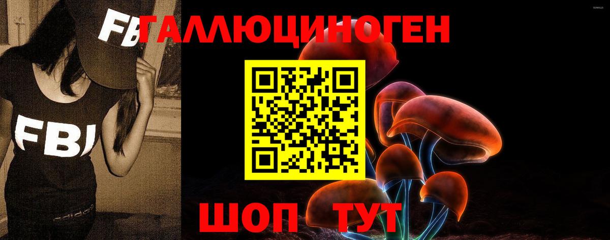 Бугуруслан  Галлюциногенные грибы Psilocybe  Вход с VPN  Галлюциногенные грибы Cubensis 